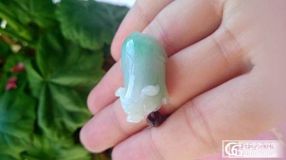 飘阳绿猪猪_翡翠