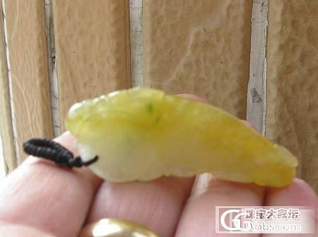 那些明价的翡翠宝贝们_翡翠