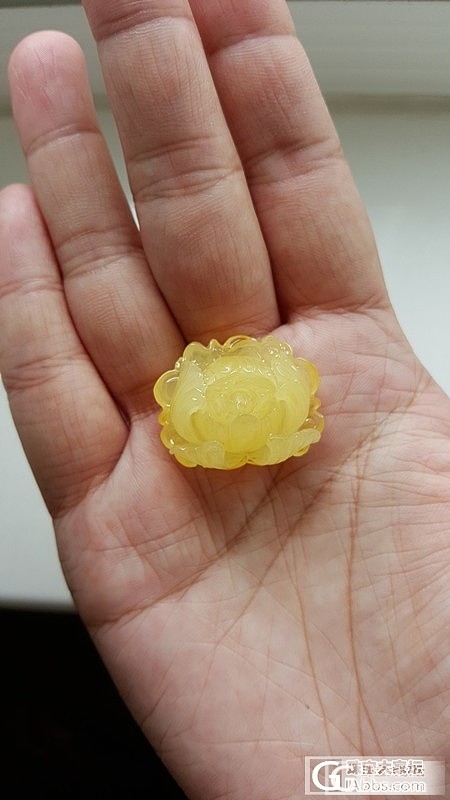 麻烦前辈们帮忙看看_蜜蜡