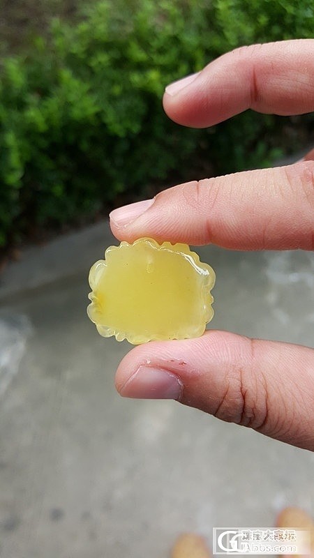 麻烦前辈们帮忙看看_蜜蜡