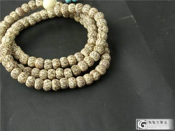 金星小叶紫檀20mm18mm砗磲8mm血丝菩提子6mm红崖柏留疤20mm_文玩