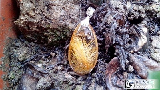 坛子里有靠谱的发晶或者钛晶的卖家么？_宝石