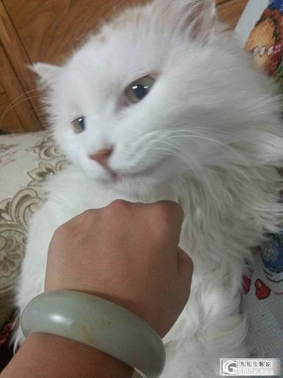 今天刚收到的大猫家籽镯_和田玉