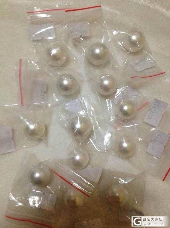 【最珍珠】来喽！！