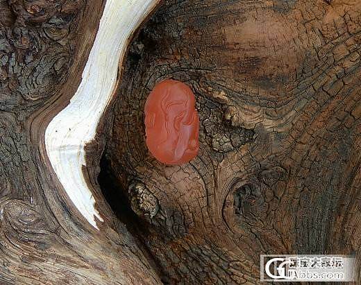 一号拍品    南红玛瑙精品挂件联合料观音3:晚上8:45分开始_玛瑙