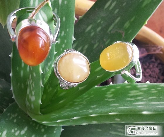 925银琥珀戒指200元2只；新增两只琥珀戒指；99银镶翡翠戒指、油青翡翠片料、..._珠宝