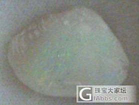 贝壳化石欧泊_刻面宝石欧泊