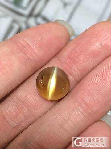 10ct up Cat's Eye_金绿宝石