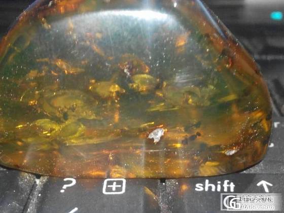 墨西哥15克 20多只蚂蚁 还有天爆_琥珀