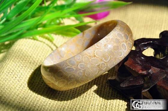 台湾珊瑚化石（珊瑚玉）_有机宝石
