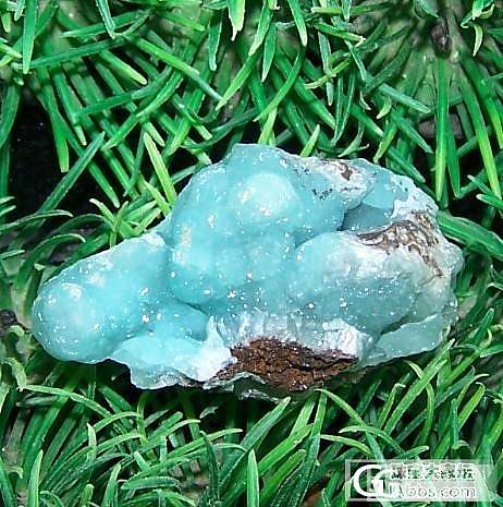 有人长草这个吗。。。_刻面宝石宝石