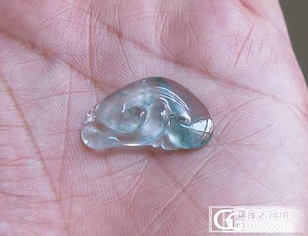 【冰冰翠】天然缅甸翡翠专卖（11月18日新品）_翡翠