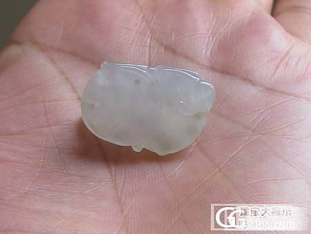 【冰冰翠】天然缅甸翡翠专卖（11月18日新品）_翡翠