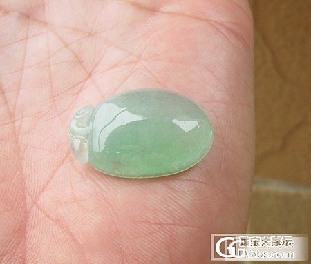 【冰冰翠】天然缅甸翡翠专卖（11月18日新品）_翡翠
