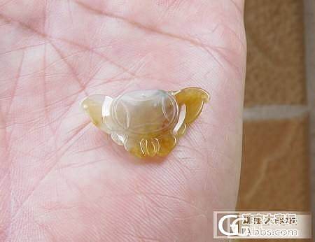 【冰冰翠】天然缅甸翡翠专卖（11月18日新品）_翡翠