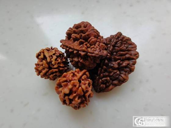 换个题材，发个极少见的一瓣金刚菩提子，大家随评_菩提子文玩