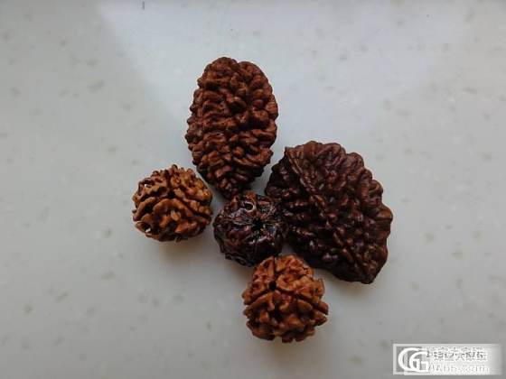 换个题材，发个极少见的一瓣金刚菩提子，大家随评_菩提子文玩