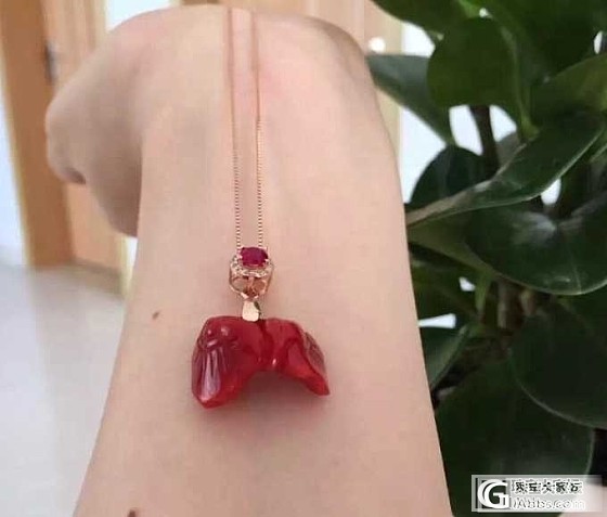 【问世珠宝文玩】双生如意结、梅花三弄~~阿卡珊瑚吊坠，特价包邮_有机宝石