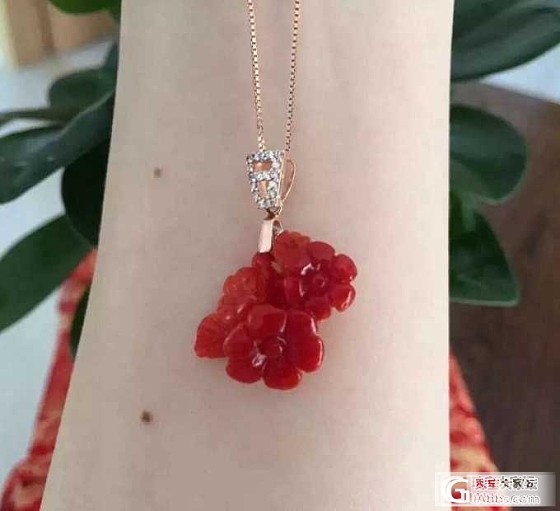 【问世珠宝文玩】双生如意结、梅花三弄~~阿卡珊瑚吊坠，特价包邮_有机宝石