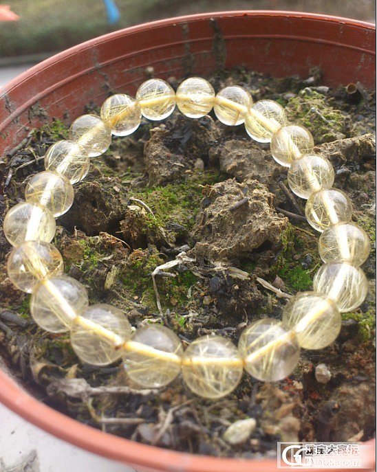 各位请帮我看看发晶幽灵真假和价位啊_幽灵晶