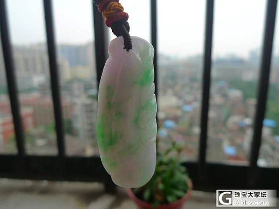 晒晒我的紫罗兰们。。。各种紫_珠宝