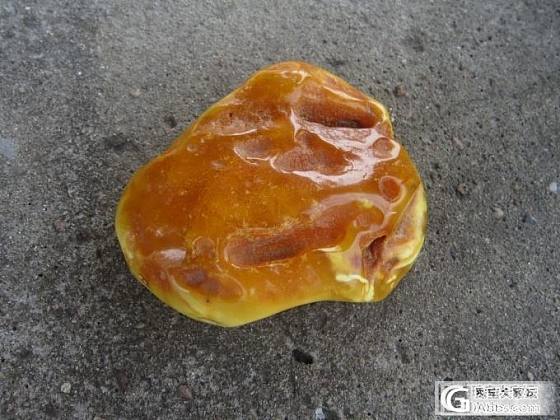 北欧精选蜜蜡原石 虫珀 本土特色打捞货_有机宝石