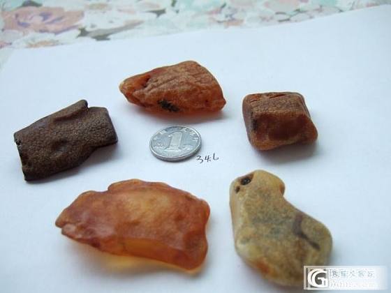 波罗的海蜜蜡海漂料原石， 5-10，国庆优惠，克价低_有机宝石