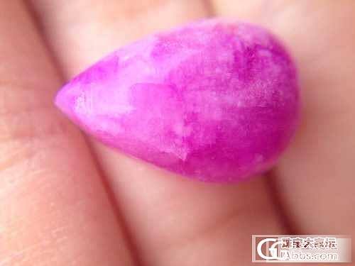 大块头桃红樱花_舒俱来