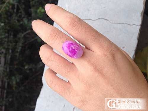 大块头桃红樱花_舒俱来