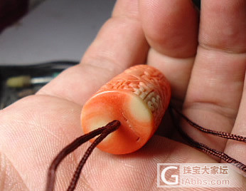 珊瑚_珊瑚