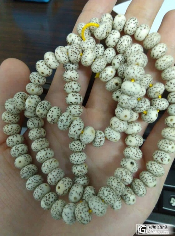 新入手了一条8*6的星月_菩提子