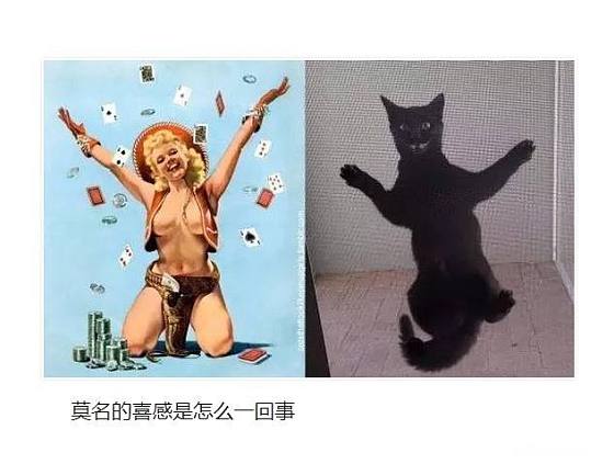 [转贴】——  美女你好，你家缺猫吗？_闲聊