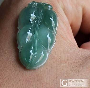 600转新入手的大叶子_翡翠