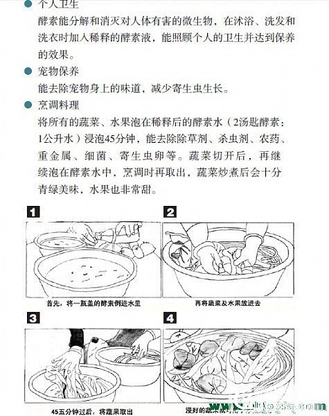 有做水果酵素的妹子吗？我的开始喝了，清肠排毒，环保又健康_闲聊