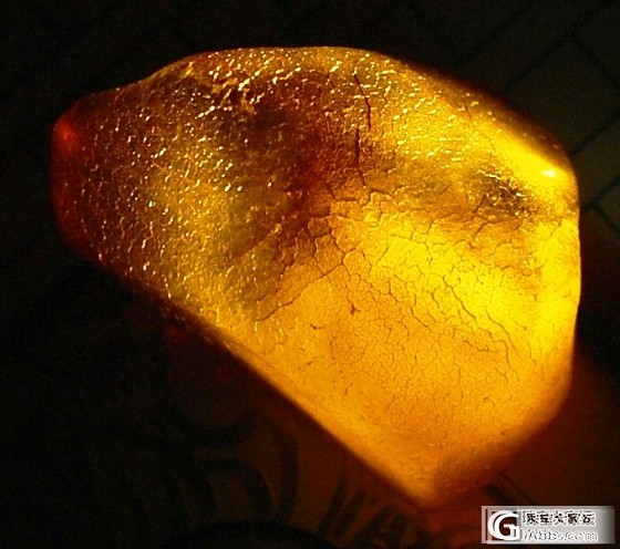 我也发个金珀全皮_金珀