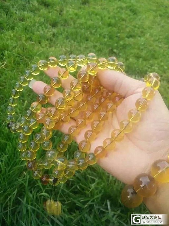 超大的蓝珀佛珠，12mm_琥珀