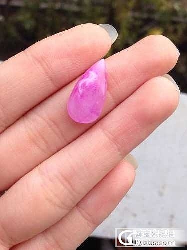 我又来给大家欣赏樱花了_舒俱来