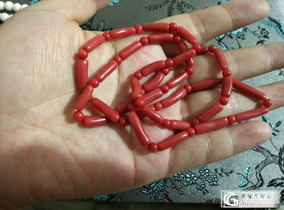 现有的小珊瑚们_珊瑚