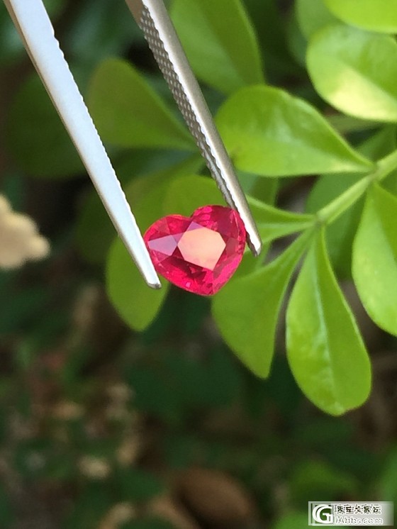 心形无烧鸽子血红宝石_红宝石