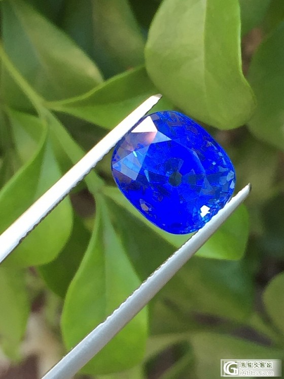 大家看看这颗8卡的蓝宝是皇家蓝色还是矢车菊色_蓝宝石