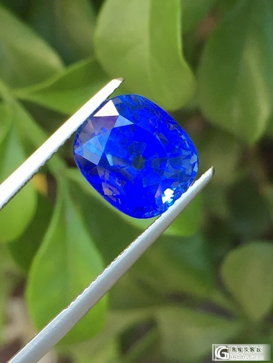 大家看看这颗8卡的蓝宝是皇家蓝色还是矢车菊色_蓝宝石