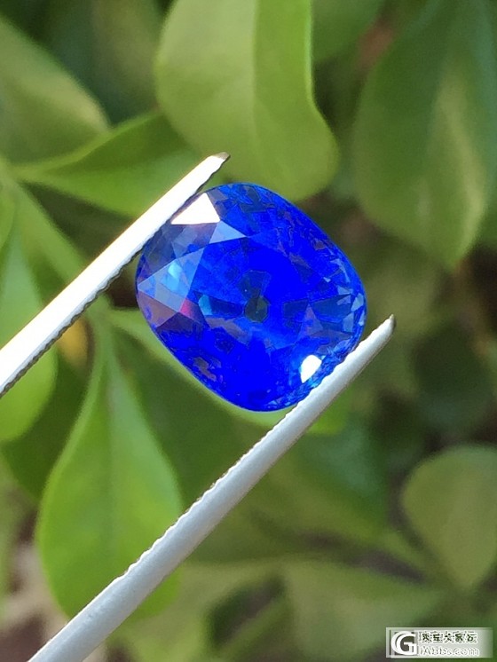大家看看这颗8卡的蓝宝是皇家蓝色还是矢车菊色_蓝宝石