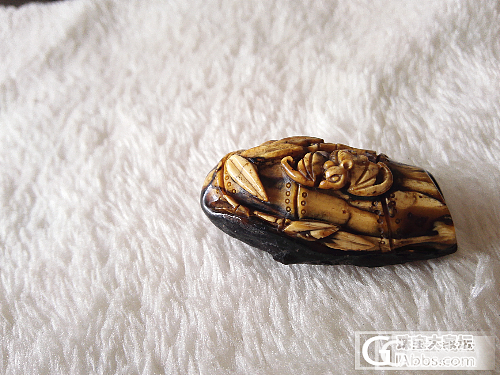 午休，发一件陈焕生大师雕刻的抚顺花珀藏品，请大家欣赏_琥珀