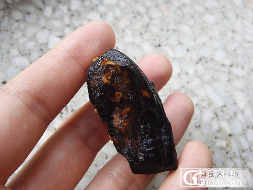午休，发一件陈焕生大师雕刻的抚顺花珀藏品，请大家欣赏_琥珀