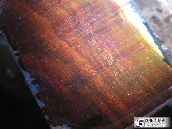一根  印度小叶紫檀   爆满金星_小叶紫檀