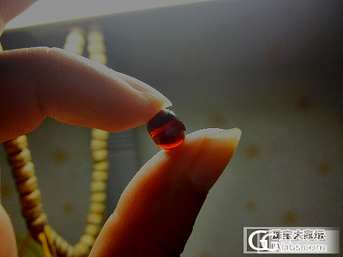 抚顺琥珀品种介绍篇_琥珀