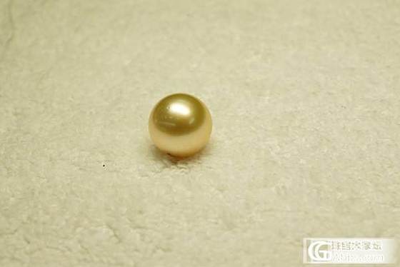精选级 13.4mm南洋金海珍珠 菲律宾海域产地 精品_博物馆