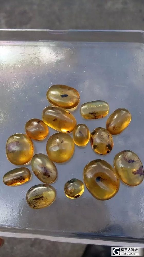 缅甸琥珀虫珀一堆批发_有机宝石