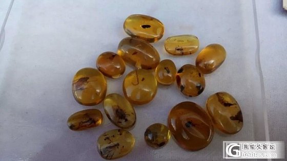 缅甸琥珀虫珀一堆批发_有机宝石