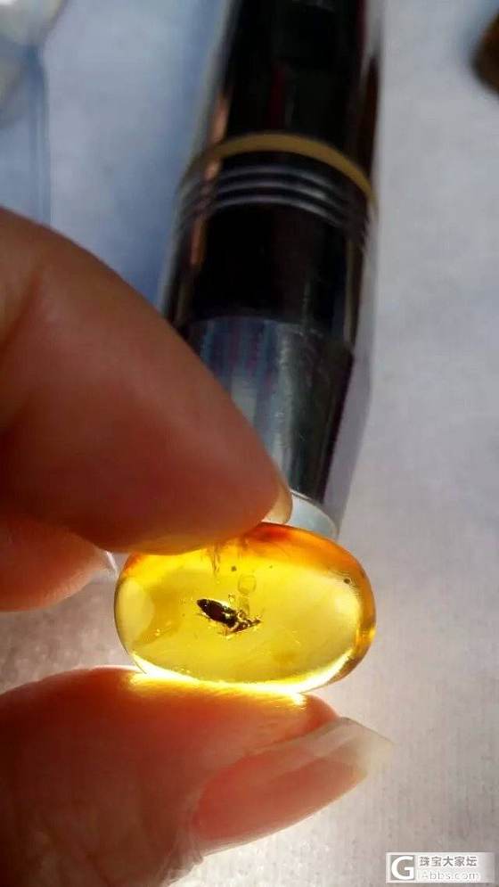 缅甸琥珀虫珀一堆批发_有机宝石